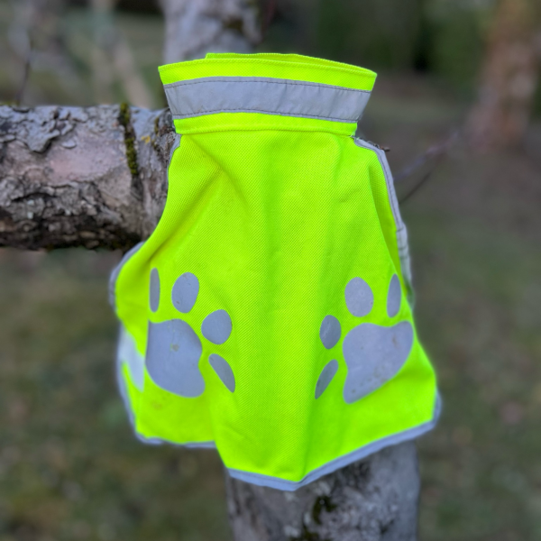 Gilet haute visibilité