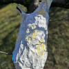 Manteau S