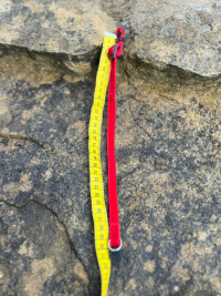 Collier simili-velours XS
