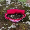 Collier avec laisse intégrée