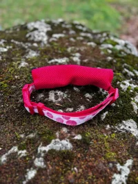 Collier avec laisse intégrée