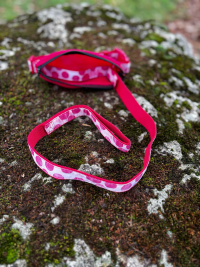Collier avec laisse intégrée
