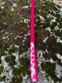 Collier avec laisse intégrée