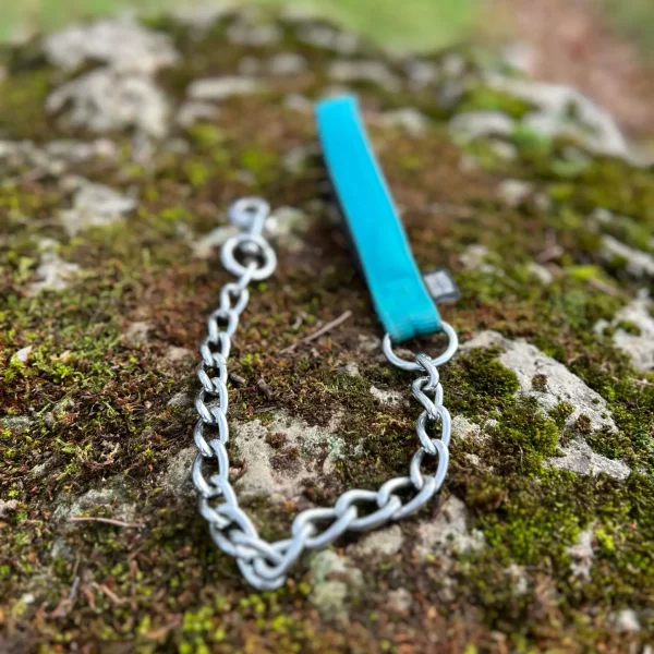 Laisse courte bleue