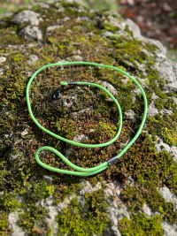 Laisse verte