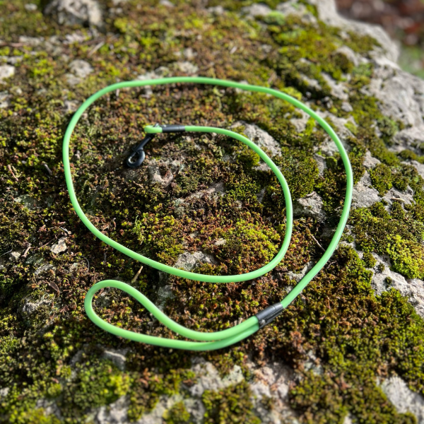Laisse verte