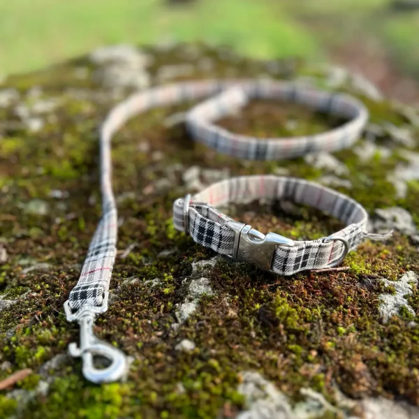 Collier dogscreek L neuf