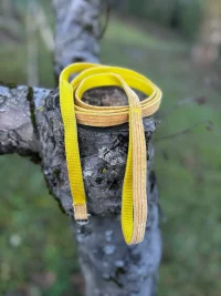 Laisse jaune