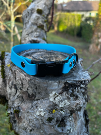 Collier Biothane bleu 38cm