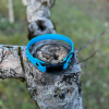 Collier Biothane bleu 38cm