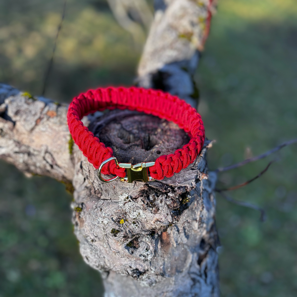 Collier dogscreek L neuf