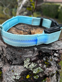 Collier lumineux bleu 29-37cm
