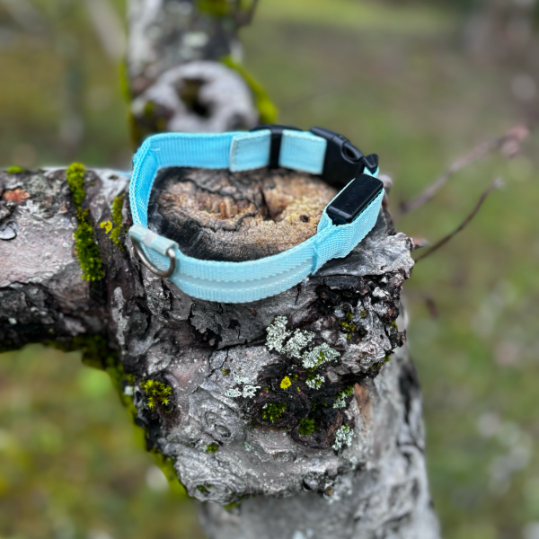 Collier lumineux bleu 29-37cm