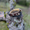 Collier vernis brun S
