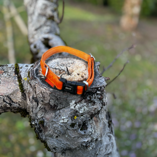 Collier simili-cuir orange M
