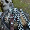 Laisse 100cm