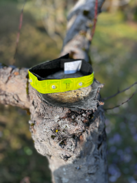 Collier lumineux jaune 35-52cm