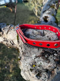 Collier cuir rouge M