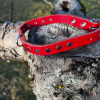 Collier cuir rouge M