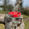 Collier cuir rouge M