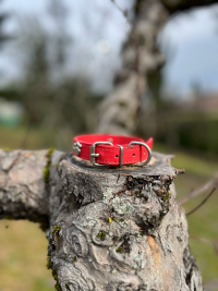 Collier cuir rouge M