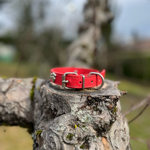 Collier cuir rouge M