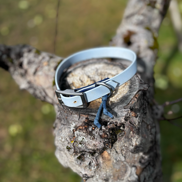 Collier dogscreek L neuf