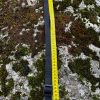 Collier 36-54cm
