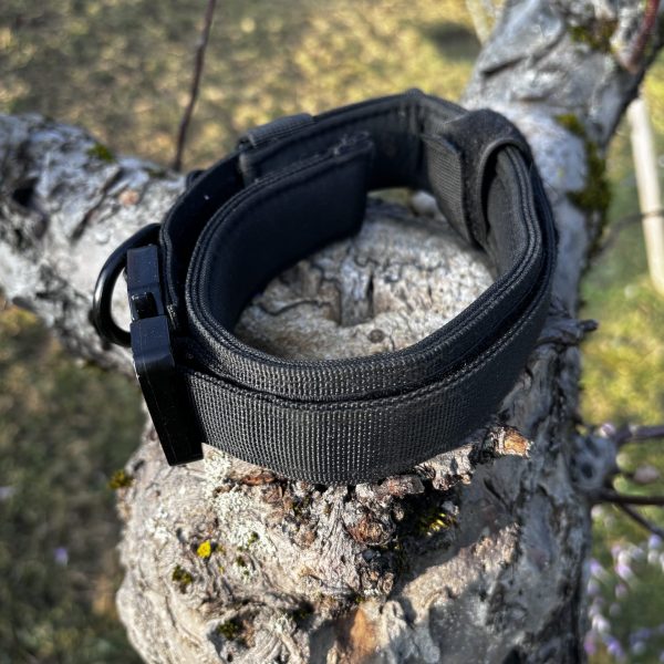 Collier dogscreek L neuf
