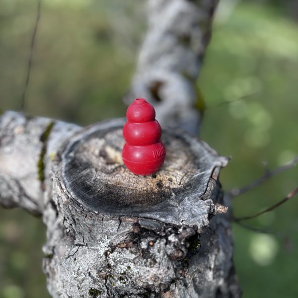 Rond vert à mâcher