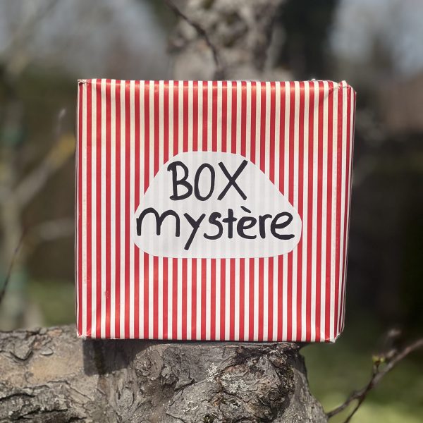 Kyflie Momentum rouge L