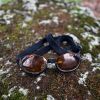 Lunette chien XL
