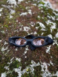 Lunette chien XL