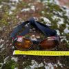 Lunette chien XL