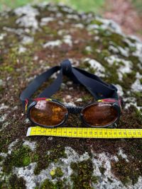 Lunette chien XL
