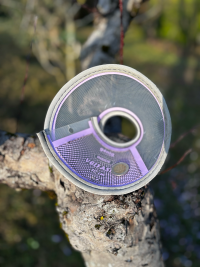 Collerette 10cm