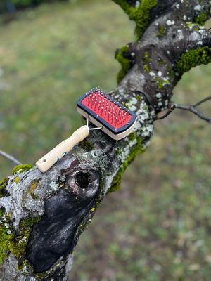 Kyflie Momentum rouge L