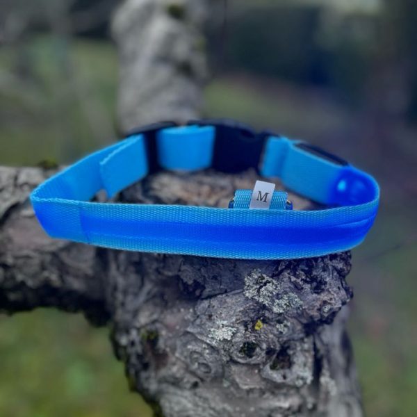 Collier Biothane/paracorde 37-43