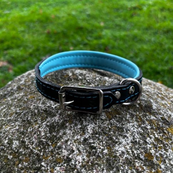 Collier dogscreek L neuf
