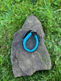 Collier Ferplast S
