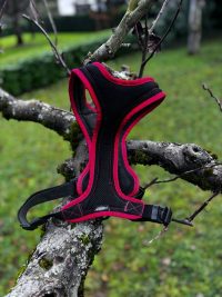 Harnais sport L