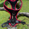 Harnais sport L