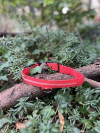 Collier lumineux rouge 33-46cm