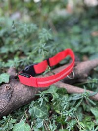 Collier lumineux rouge 33-46cm