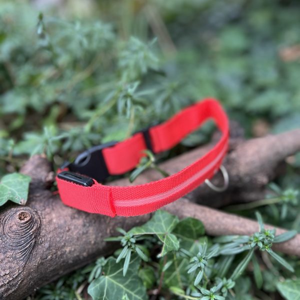 Collier lumineux rouge 33-46cm