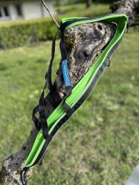 Harnais traction 31-34kg