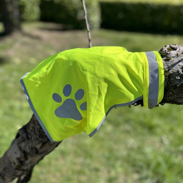 Gilet haute visibilité