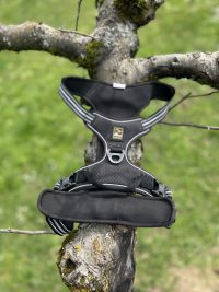 Harnais dogs creek XL