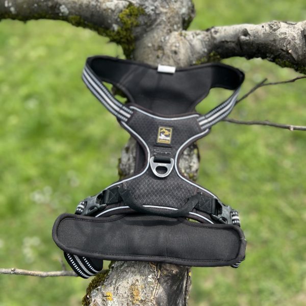Harnais dogs creek XL