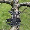 Harnais dogs creek S (gps)